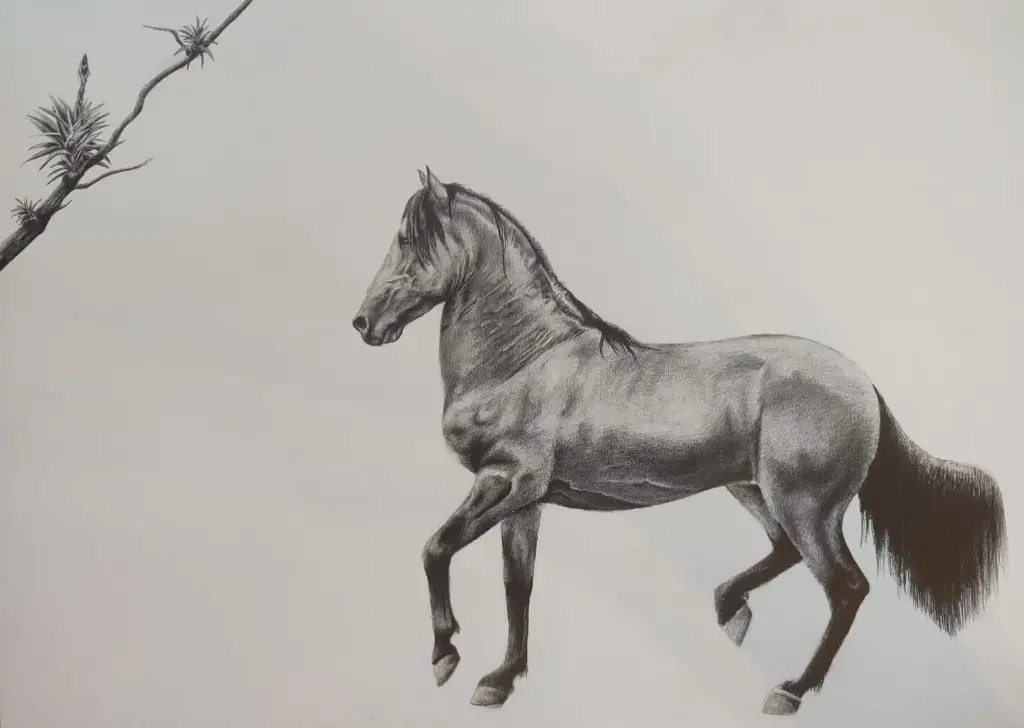 S.S. Caballo 2